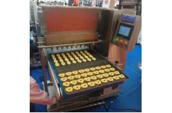China Rosette Cream Biscuit Chocolate Chip Cookie Machine Depositor Automatic supplier
