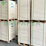 190gsm+15gsm PE Coated Waterproof Brown Paper Sheets for Cups for sale