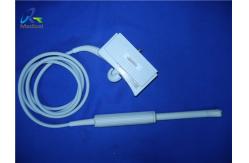 China Siemens EV-8C4 Ultrasound Transducer Probe Endocavitary supplier