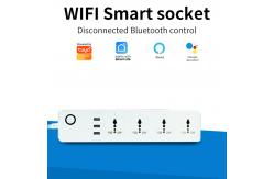 China 10A Current Tuya Wifi Lamp Socket Smart Home Automation Zigbee Outdoor Socket supplier