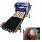 52KG Eggs Code Printing Machine With 120000 Characters Per Hour High Speed
