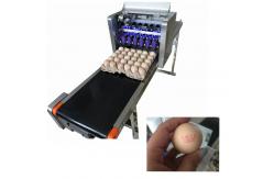 China 52KG Eggs Code Printing Machine With 120000 Characters Per Hour High Speed supplier