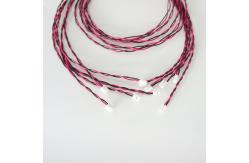 China JST Molex Connector Custom Cable Assemblies 2Pin Wire Harness supplier