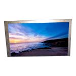 6.2 inch LCD Screen Panel HSD062IDW1-B00 LCD Display Module Replacement for sale
