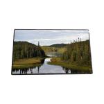 HannStar 15.6 inch 1920x1080 Full View Matte HSD156JUW2-A12 LCD Panel for Automotive Outdoor High Light for sale