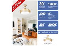 China Transparent Hidden Blade Ceiling Fan with LED Light 1stshine Luxury European Design supplier