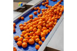 China 1500KG/H Fruit And Vegetable Processing Line cleaning Sorting Machine supplier