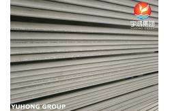 China ASTM B407 N08810 Seamless and Welded Alloy Tubes supplier