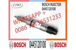 China 0445120022 0445120024 New Common Rail Injector 51101006049 0445120042 0445120100 supplier