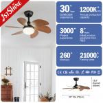 30 Mini Ceiling Fan With Light Wood Blade 6 Speed Choice Hi Speed