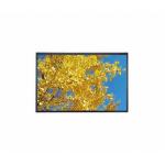 10.1'' 1920*1080 TFT FHD LCD Module With Touch Standard