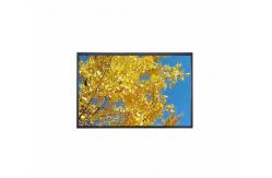 China 10.1'' 1920*1080 TFT FHD LCD Module With Touch Standard supplier