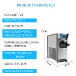 Ice Cream Pasteurization Machine Manufacturer Production Line BT-P25