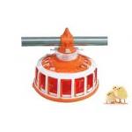 Poultry Feed Pans Raised Chicken Waterer Equipment Needed To Raise Chickens