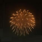 Liuyang High Quality 1.3G Professional Mortars Pyrotechnic Display Artillery Shells Fireworks For Sale Firework Shell for sale