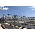 Hot Galvanized Steel Pipe Tempered Glass Greenhouse 8m 9.6m 12m Span Width for sale
