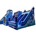 New Arrival inflatable blue dry slide for rental, outdoor inflatable two lane slide for kids for sale