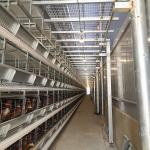 H Type Fully Automatic Battery Chicken Cage Poultry Farm Feeding Equipment 10 Tiers for sale