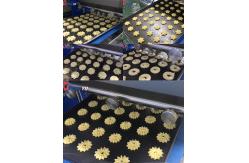 China Wirecut Dough Cookie Depositor Machine Macaron Maker supplier