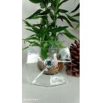 High Clarity Round Sapphire Borosilicate K9 Crystal Plate
