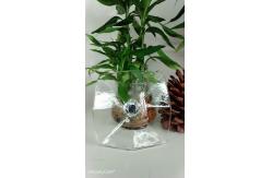 China High Clarity Round Sapphire Borosilicate K9 Crystal Plate supplier