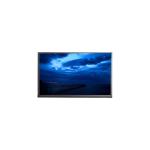 H245QBN02.0 2.5 inch 240*400 TFT LCD Panel with Pixel Format RGB Vertical Stripe for sale