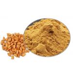 99% Herbal Extract Anti Tumor Peach Kernel Powder for sale
