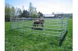 China 10FT Heavy Duty Portable Cattle Yard Panel Fence Livestock Panels supplier