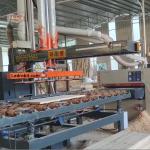 PLC Controlled Steel Automatic Board Loading Unloading Machine with Emergency Stop for sale