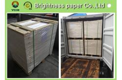China Professional Foldable Tea Bag Paper Cardboard Paper Roll 787mm / 889mm supplier