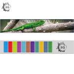 5.4X31cm Lenticular Printing Services / 3D lenticular Plastic Ruler Egypt Design