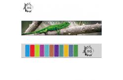 China High Definition Motion 3D Lenticular Ruler Animal Design For Students supplier