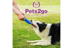 China Vocalize 175X40mm Chew Toys For Tough Chewers supplier