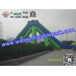 Giant Inflatable Water Slide For Adult , Hippo Inflatable Slide In Amusement Park