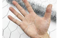 China Galvanized Hexagonal Wire Mesh For Chicken Wire Mesh supplier