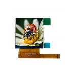 1.54 Inch IPS LCD TFT LCD Display Module SPI Interface 240*240 Resolution Viewing Direction ALL o’clock for sale