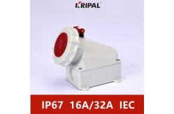 China Dustproof IP67 230V 16A Industrial Wall Mounted Socket IEC Standard supplier