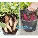 Tomato Potato Carrot Onion Peanut Growing Pot Garden Planter Pot,PP potato grow pot planting bag, bagplastics, bagease for sale