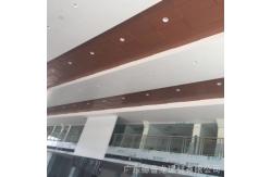 China Metro Station Aluminum Hook On Ceiling 25mm Hight Easy To Disassemble supplier