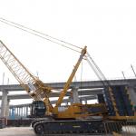 260tons Mobile Cranes  Xcmg Crawler Cranes XLC260 1430t.M  Lifting Moment for sale