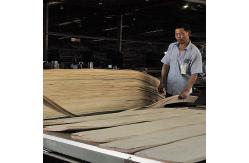 China Musical Instruments Africa Anegre Figured Wood Veneer Fiddle Back Grain 0.5mm supplier
