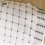 Black Bird Proof Net 100m 200m 300m 500m Bird Control Mesh For Garden for sale