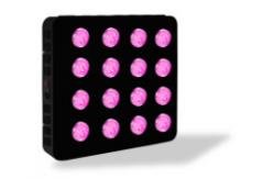 China AC85 - 265V Indoor LED Grow Light IP44 SMD2835 Full Spectrum Energy Saving supplier