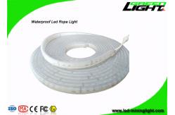 China Professional Safety Outdoor Led Strip Lights With 60Leds/M , Fire Resistant supplier