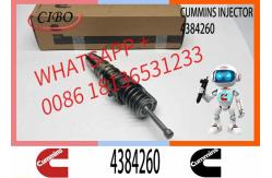 China Remanufactured High Quality Common Rail Diesel Fuel Injector 4088725 4384260 supplier