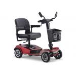 2 Wheel Folding Electric Bicycle Smart Drifting Scooter RPF210A White 120kg Loading for sale