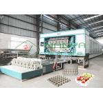 PLC 70mm 30 Holes Egg Tray Pulp Molding Equipment for sale