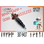 excavator diesel engine common rail fuel injection pump 242-0139 235-5518 236-0953 293-4066 387-9437 for C9 engine for sale