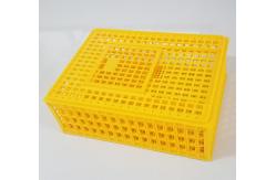 China PE 28.5cm Height 14 Chicken 50kgs Plastic Poultry Crate supplier