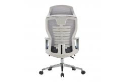 China Wholesale Ergonomic Comfortable Office Chair Mesh Recliner Office Chair Fixed Headrest supplier
